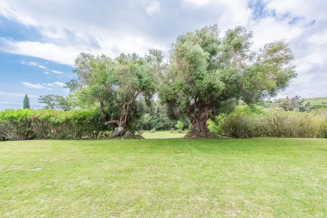 Chalet 7 habitaciones 765m² en venta - Sotogrande Costa — 2