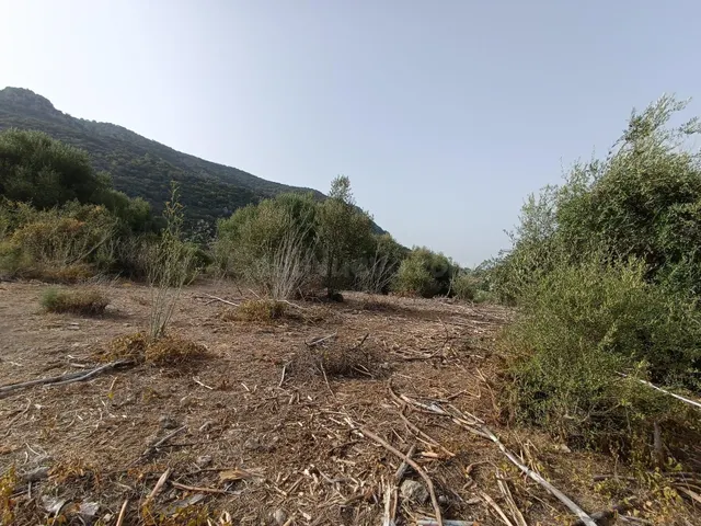 VENTA PARCELA ALREDEDORES DE EL BOSQUE - foto 4