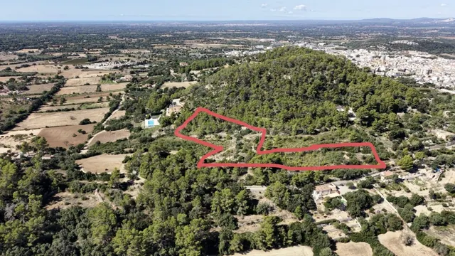 Terreno rústico de 10.000m2 en son quetlles, Felanitx — 2