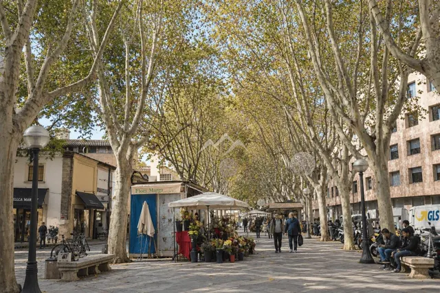 Piso señorial con terraza, en el barrio de Sant Jaume, Palma — 8