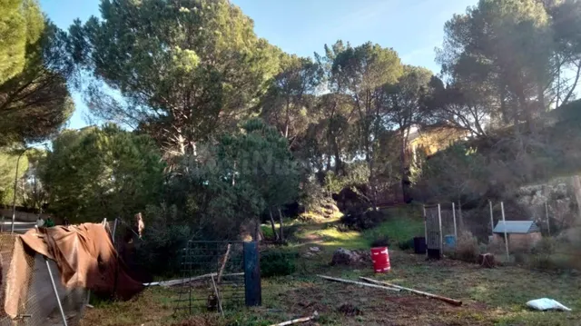 ¡¡Terreno Urbano!! EN LAS JARAS - foto 2