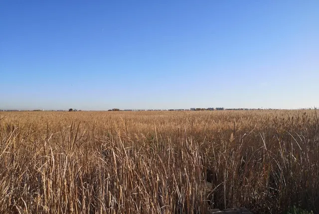 Terreno Rústico 745000m² en venta - Costa del azahar — 6