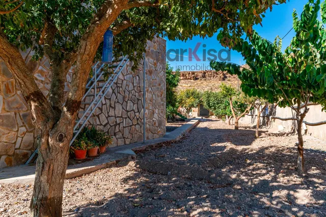 DOS VIVIENDAS INDEPENDIENTES CON PISCINA Y HUERTO EN BERJA — 33