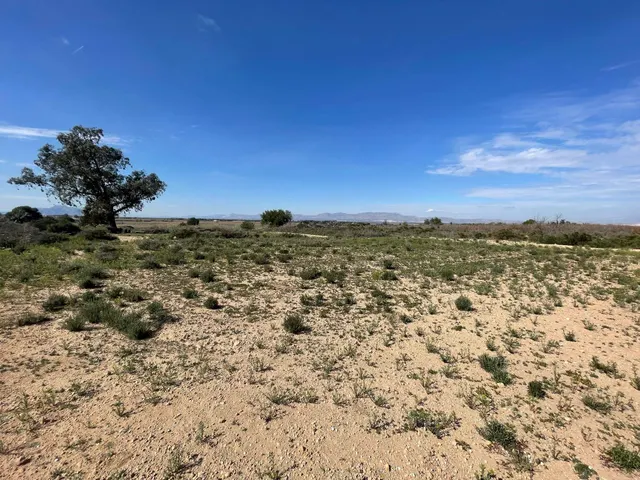 DISFRUTA DEL CAMPO A UN PASO DE LAS PLAYAS DE ELCHE — 12