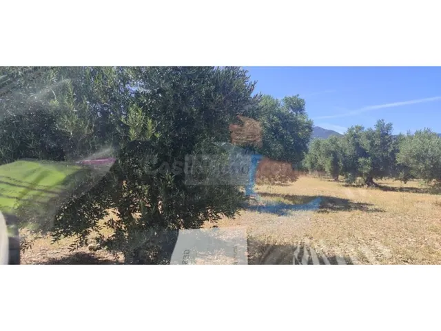 Parcela en Venta en Cantallops Girona