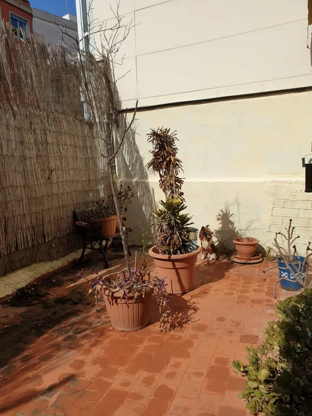 Ático con terraza de 20 m2 , tres habitaciones — 6