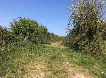 Terreno rural 2065m² en venta - Castiello - Bernueces - foto 4