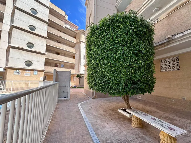 Apartamento 2 habitaciones 55m² en venta - Estacion de autobuses — 30