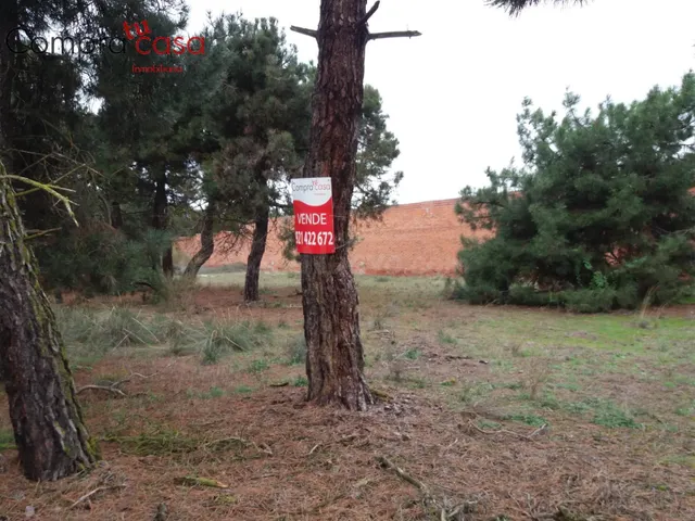 VENTA.-.PIMPOLLADAS.-.NAVAS DE ORO.-.DOCUMENTACION AL DIA.- - foto 3