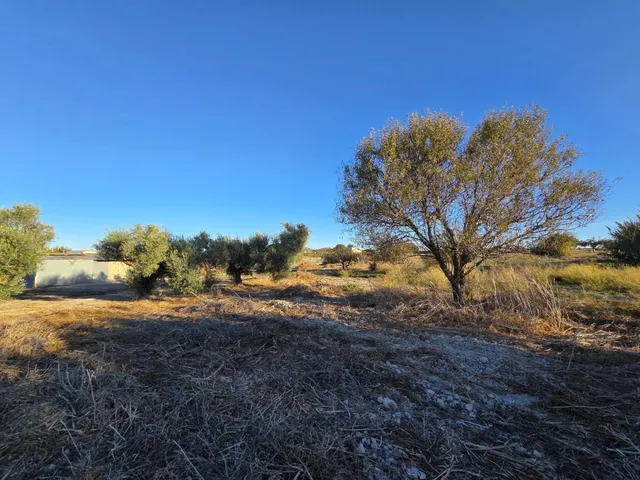 Parcela segregada de 3.353 m/2  en el marquesado – Chiclana de la Frontera — 3
