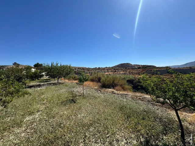 ¡Descubre tu oasis agrícola en plena naturaleza! - foto 2