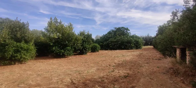 TERRENO URBANIZABLE SECTORIZADO EN ALMENSILLA — 4