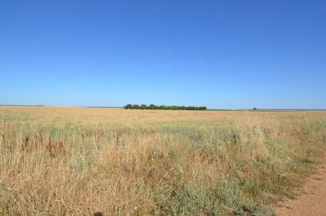 Urbis te ofrece un terreno en venta en Castellanos de Villiquera, Salamanca. — 3