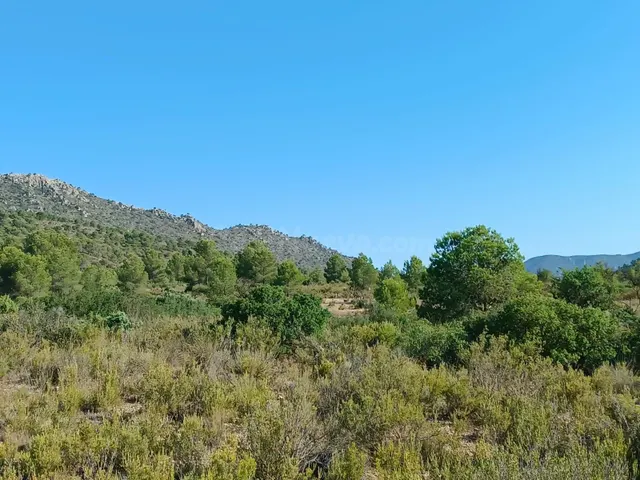 Parcela en venta - Ayuntamiento - foto 2