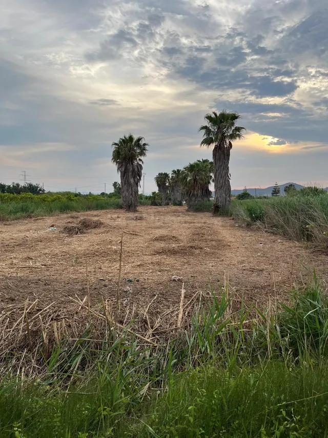 Parcela VENTA en Castellón, zona Camino La Plana, 3676m2 ter - foto 2