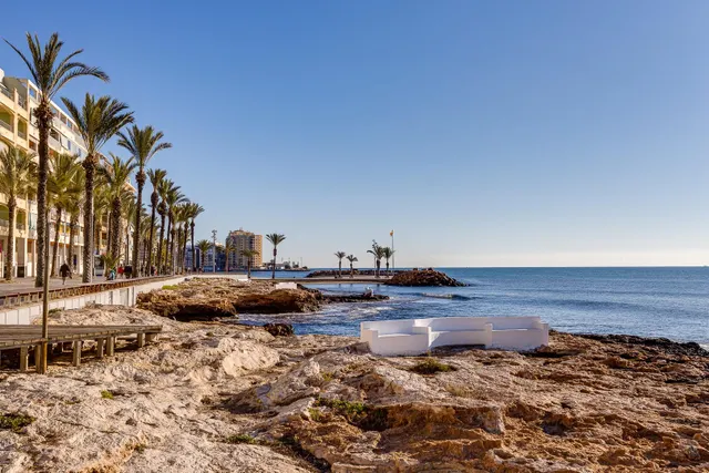 BAR / RESTAURANTE EN VENTA EN TORREVIEJA, ZONA PLAYA DEL CURA — 46