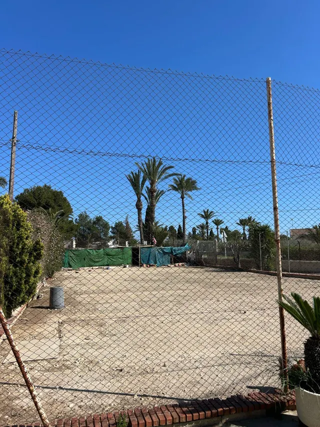 BUSCAS UN CAMPO A 2 MINUTOS DE ELCHE ? — 11