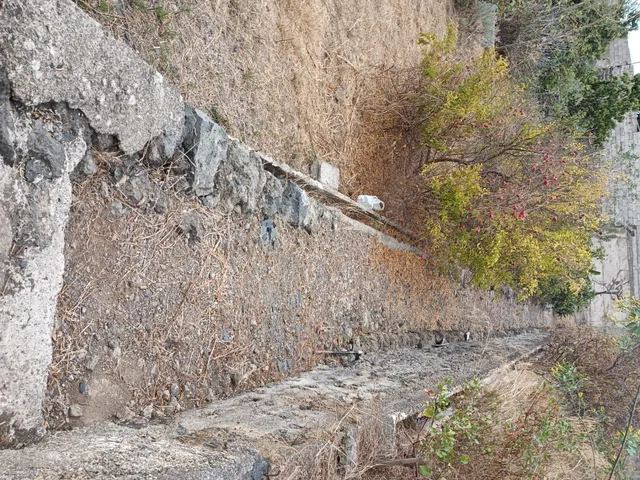Terreno urbano de 2.500 m2 en Icod de los Vinos | oportunidad para inversores — 34