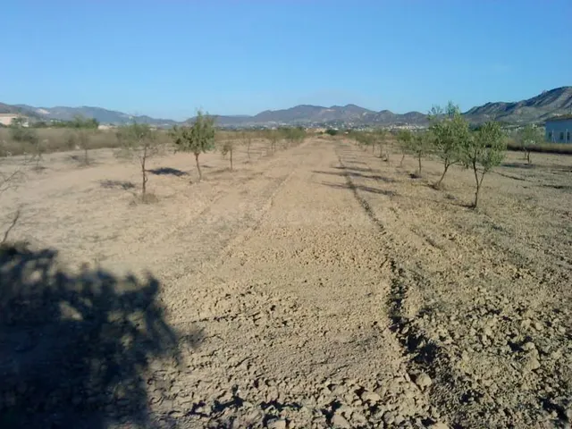 Inmobiliaria San Jose vende parcela en Aspe - foto 4