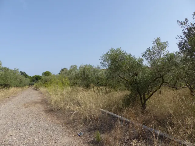 Terreno en venta en la zona de Aigüesverds, Reus - foto 5