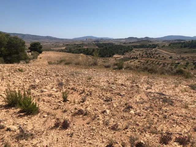 Parcela en venta - Extremadura