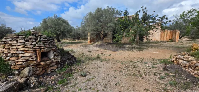 Proyecto rural con masía y licencias en entorno natural priv - foto 4