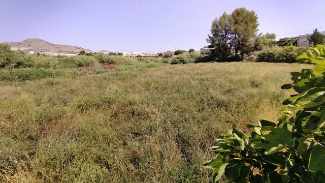 Parcela en venta - Calasparra