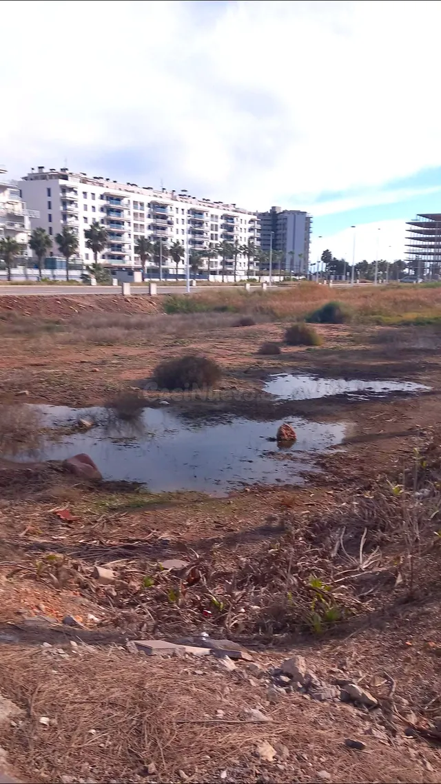 Parcela urbana de uso residencial en sector Belcaire Norte, 
