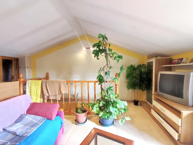 Vivienda y negocio a la venta en Arroyo. — 21