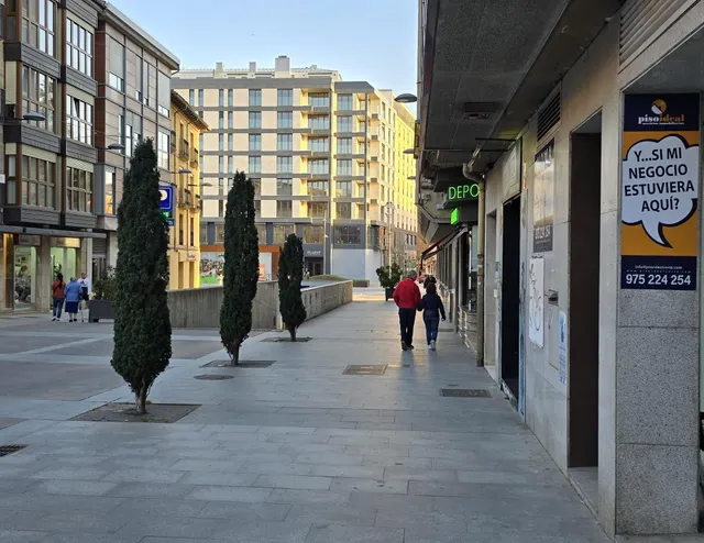 Local calle Ferial, zona peatonal — 19