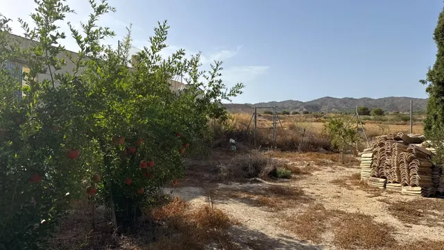 VIVIENDA DE CAMPO EN CORVERA — 46