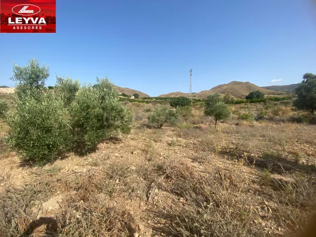 SE VENDE TERRENO RURAL DE 15000 M2 EN RAMBLA DE LOS MORENOS  - foto 2