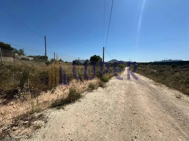 SE VENDE MAGNÍFICA FINCA RÚSTICA CON PARTE URBANA EN EL MORA - foto 4