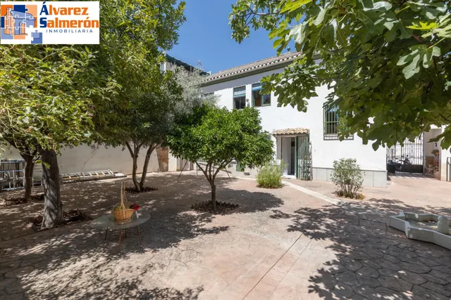 Casa con gran solar — 50