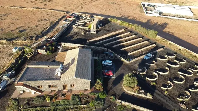 Finca de Lujo con Viñedo, Bodega Subterránea y Vistas Panorámicas al Atlántico — Fuerteventura — 2