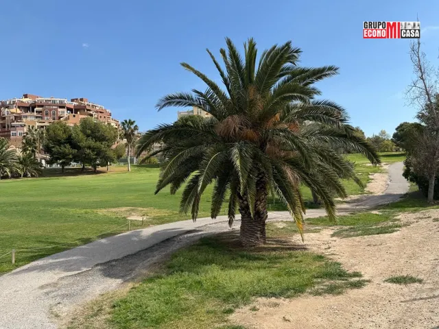 ADOSADO EN BONALBA/ MUTXAMEL. ALICANTE — 24