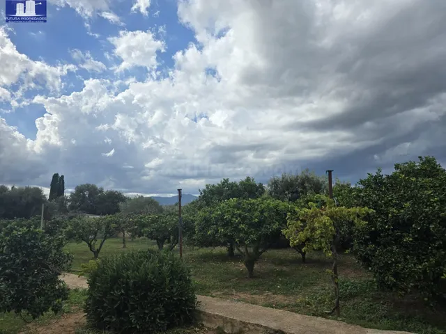Casa independiente con gran parcela además de un proyecto de - foto 2