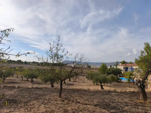 Terreno Rural en Almansa - San José a un Precio Inmejorable — 10