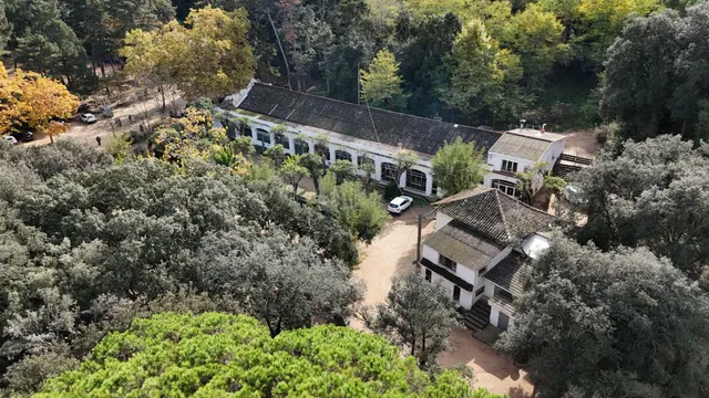 Finca rústica de 9 hectáreas en Arenys de Munt — 2