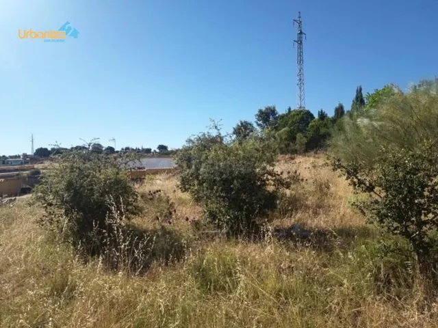 PARCELA RÚSTICA DE 2.400 M2. - foto 4
