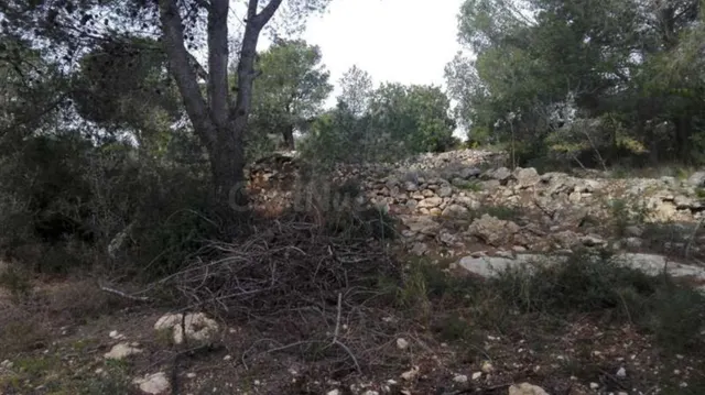 Terreno rural en venta - CORRAL DEL PITIQUILLO - foto 3
