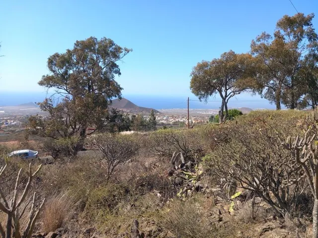 Bonito terreno en zona las Chozas, Granadilla de Abona - foto 4