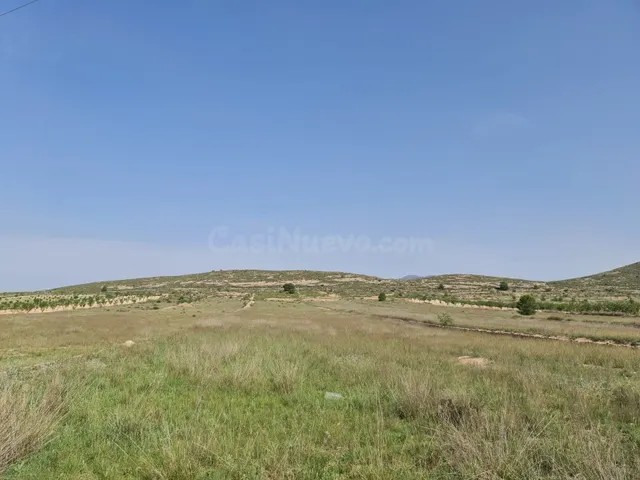 Parcela en venta - Jumilla centro