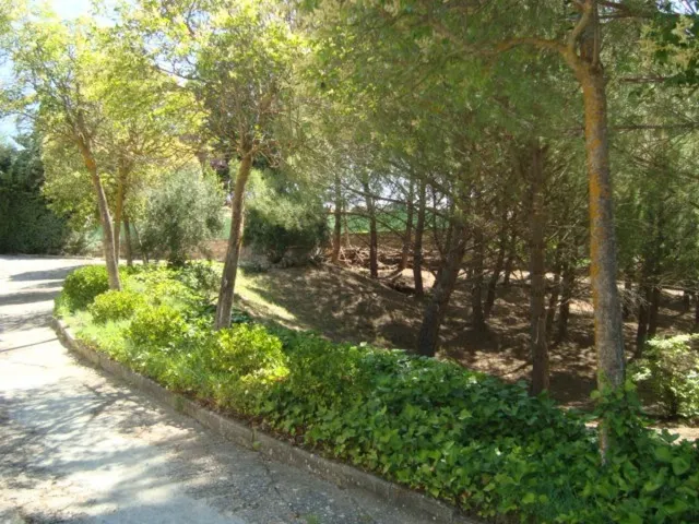 Parcela urbana de esquina en el centro de Loranca de Tajuña — 14