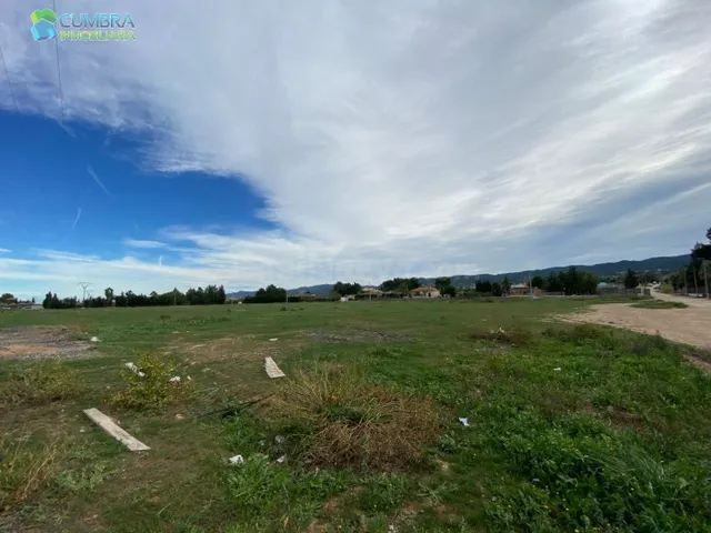 FINCA UBICADA EN PARAJE DE TORREGUIL - foto 3
