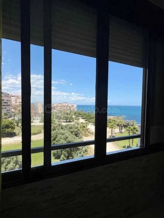 Apartamento 1 habitación en venta - Cabo cervera — 3