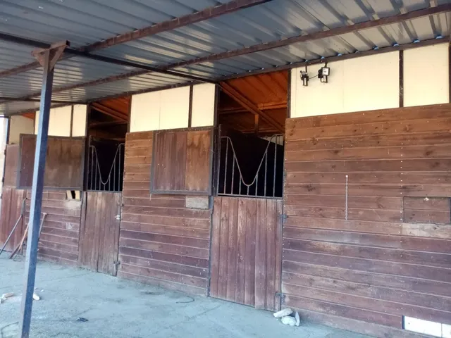FINCA RUSTICA DE RECREO — 3