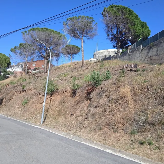 PARCELA EN CASTELLVÍ DE ROSANES - foto 4