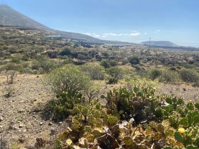 Interesante terreno de 11.223m2 anexo al circuito de Alta Ve - foto 3
