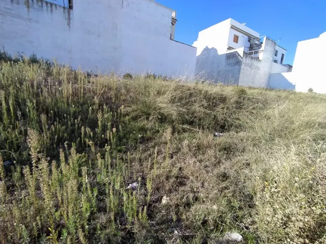 VENTA DE PARCELA ZONA PORTICHUELO — 4